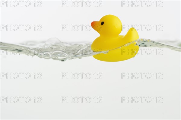 Rubber duck toy in water.