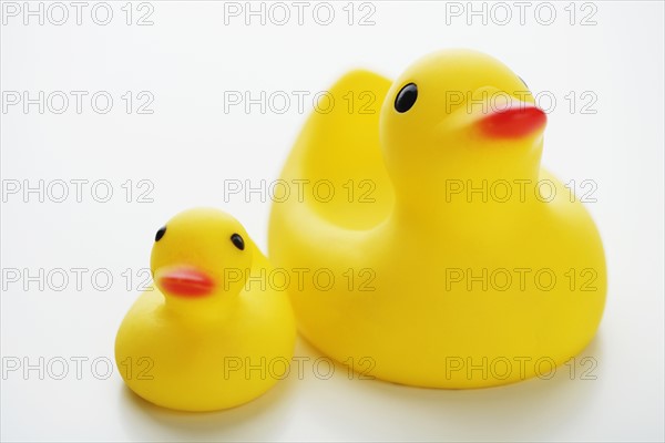 Studio shot of rubber duck toys.