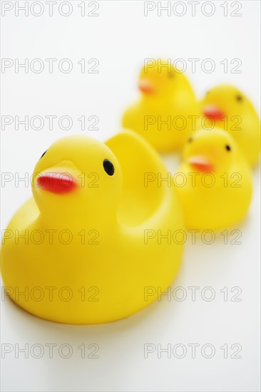 Studio shot of rubber duck toys.