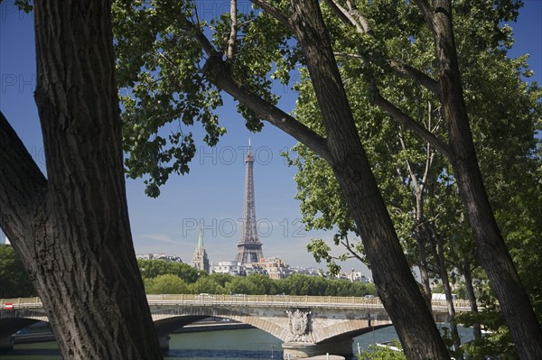 View through trees to Eiffel Tower.