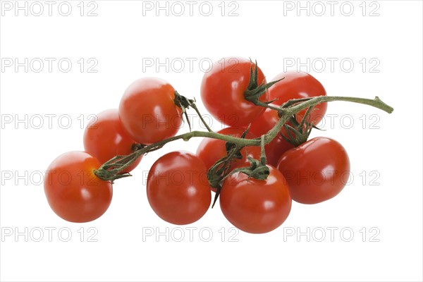 Close up of tomatoes on vine.