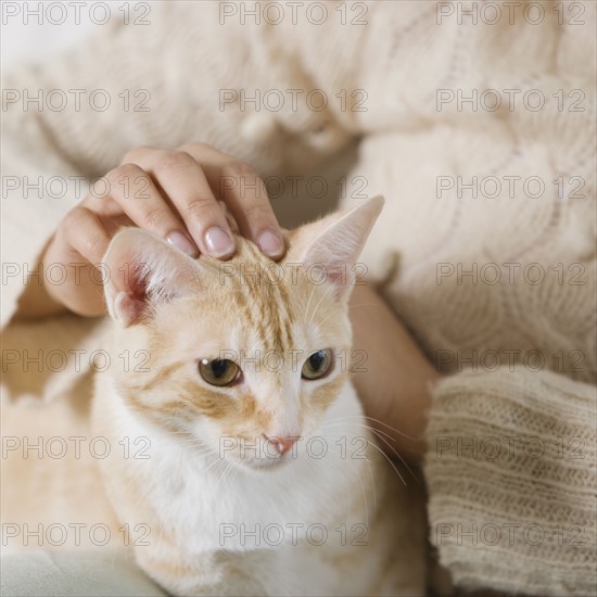 Indian woman petting cat.