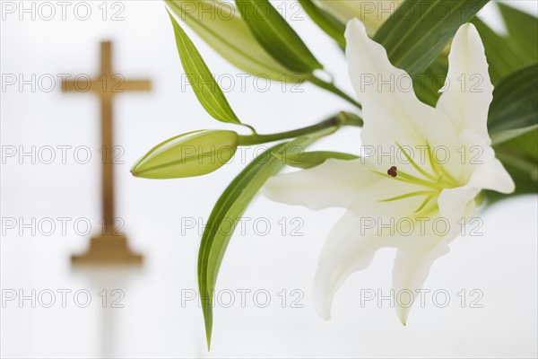 Close up of flowers with cross in background.