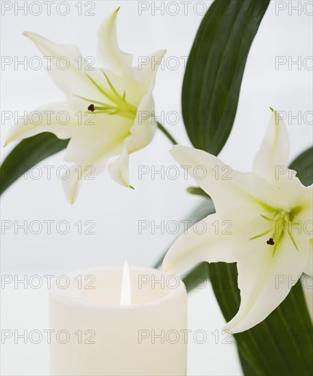 Close up of flowers and candle.