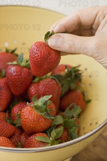 Man holding strawberry over colander.