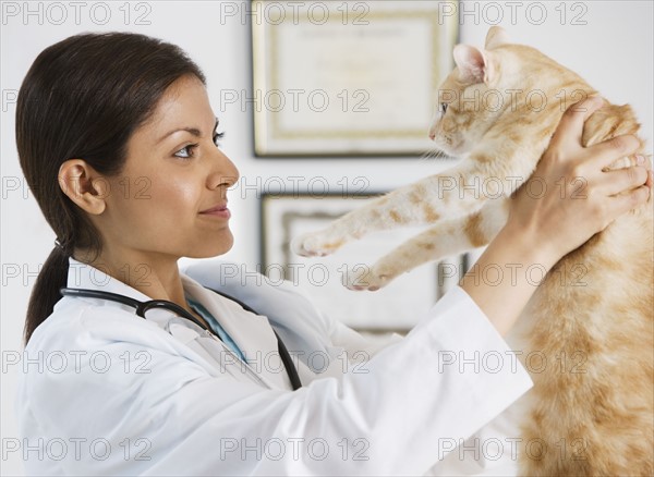 Indian female veterinarian examining cat.