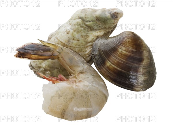 Close up of shrimp, oyster and clam.