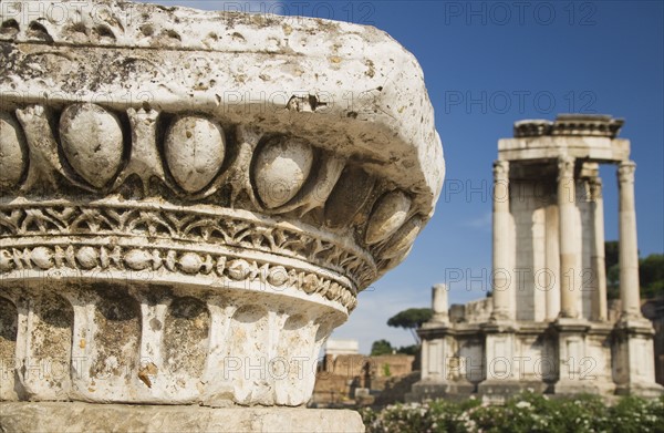 Roman column with Temple of Vesta in background, Roman Forum, Italy.