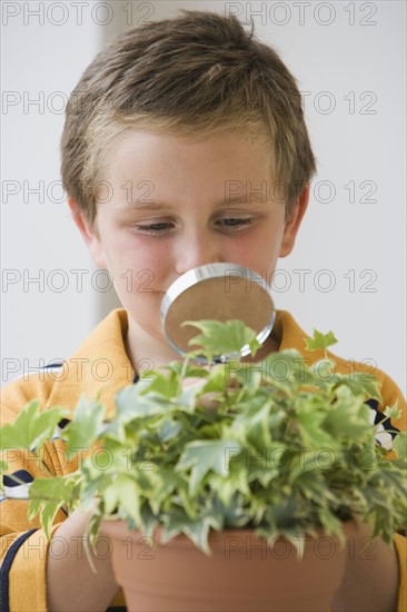 Boy examining potted plant.