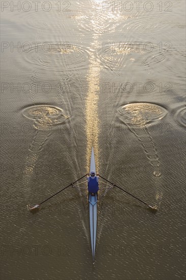 High angle view of person sculling.