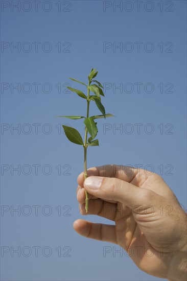 Man holding small plant.