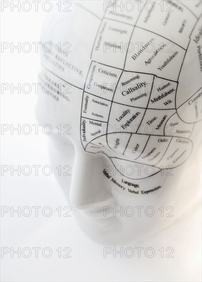 Close up of Phrenology head diagram.