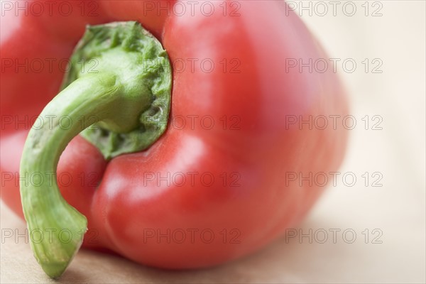 Still life of a red pepper. Date : 2006