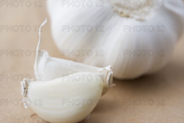 Still life of a clove of garlic. Date : 2006