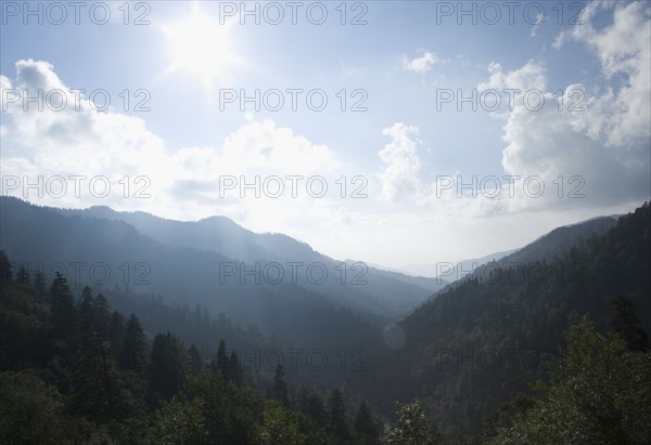 Smoky Mountain National Park USA. Date : 2006