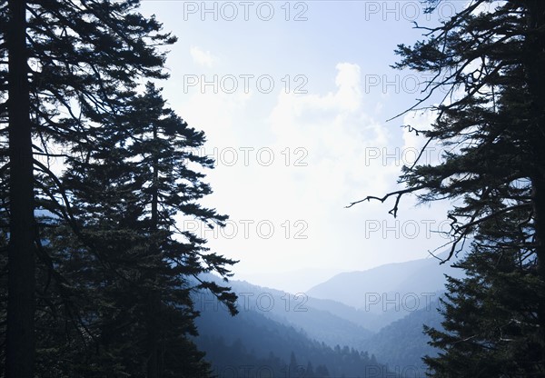 Smoky Mountain National Park USA. Date : 2006