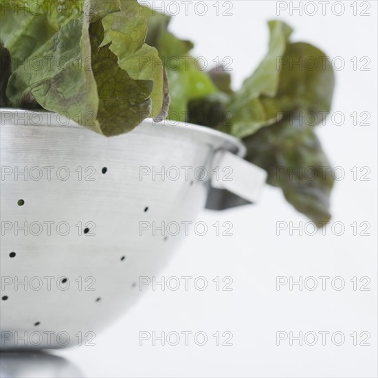 Close up of lettuce in colander. Date : 2006