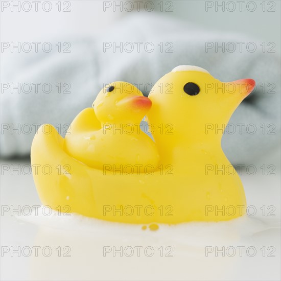 Close up of toy ducks. Date : 2007