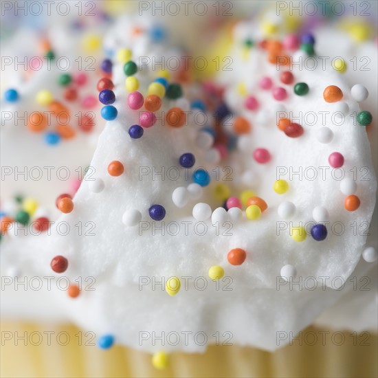 Closeup of sprinkles and frosting. Date : 2006