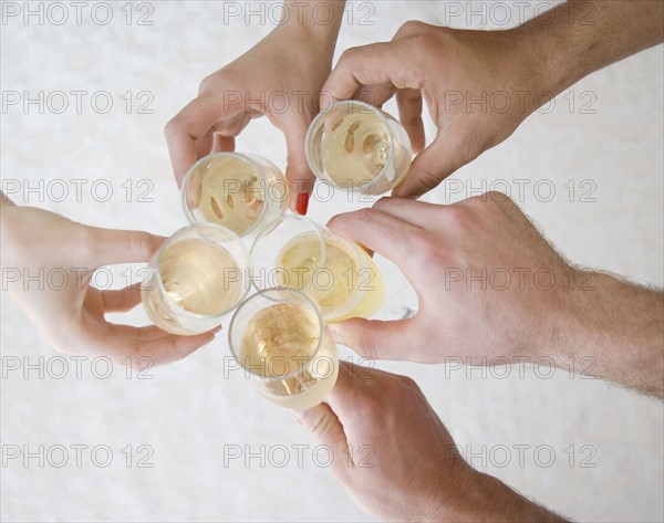 Friends toasting with champagne. Date : 2007