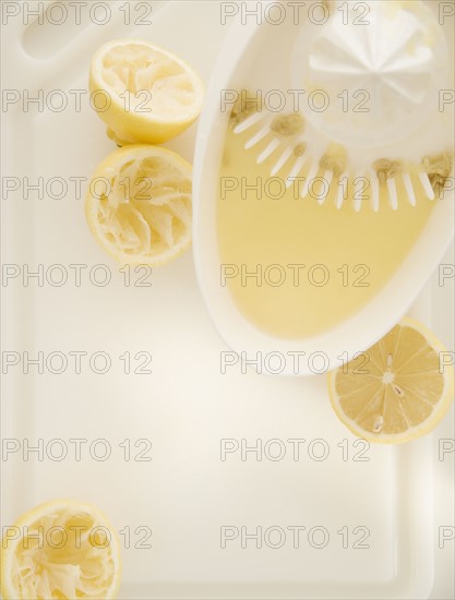 High angle view of oranges and juicer. Date : 2006