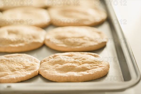 Close up of cookies on sheet pan. Date : 2006