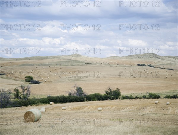 Hay bales southern Montana USA. Date : 2006