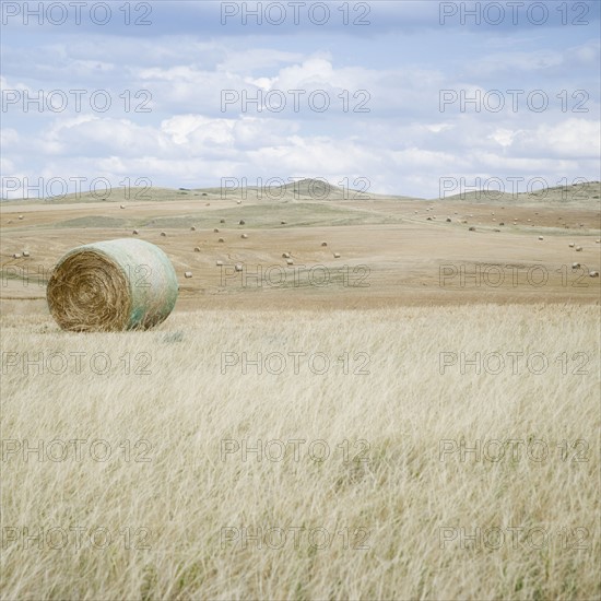 Hay bales southern Montana USA. Date : 2006