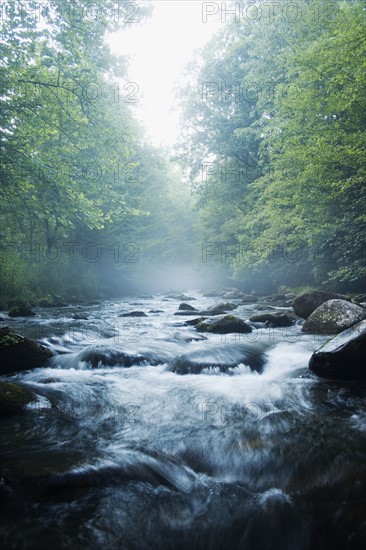 Smoky Mountain National Park USA. Date : 2006