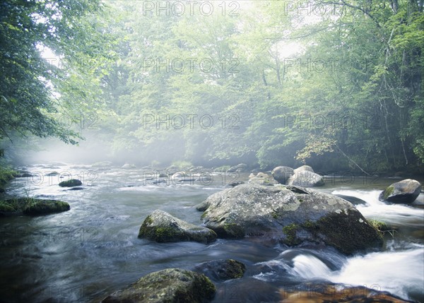 Smoky Mountain National Park USA. Date : 2006