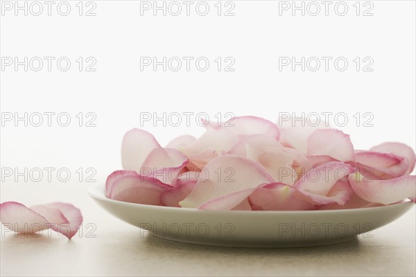 Plate of pink rose petals. Date : 2006