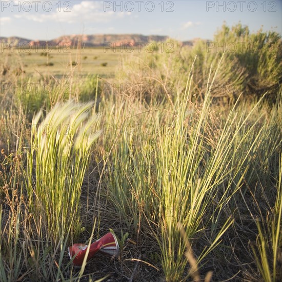 Roadside litter. Date : 2006