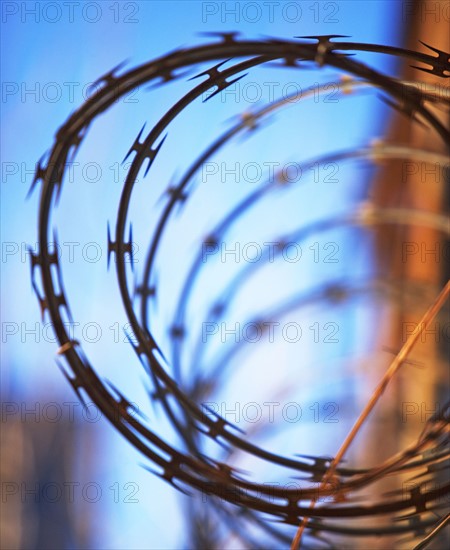 Close up of coiled razor wire. Date : 2007