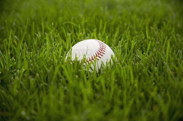 Baseball laying on grass. Date : 2006