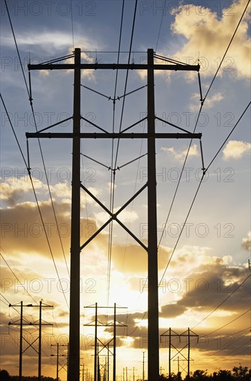 Electrical poles and wires at sunset. Date : 2007