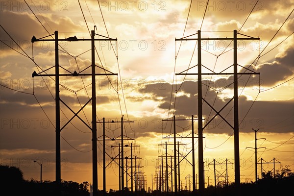 Electrical poles and wires at sunset. Date : 2007