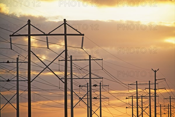 Electrical poles and wires at sunset. Date : 2007