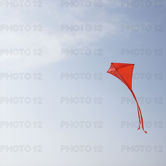 Kite flying in air. Date : 2007