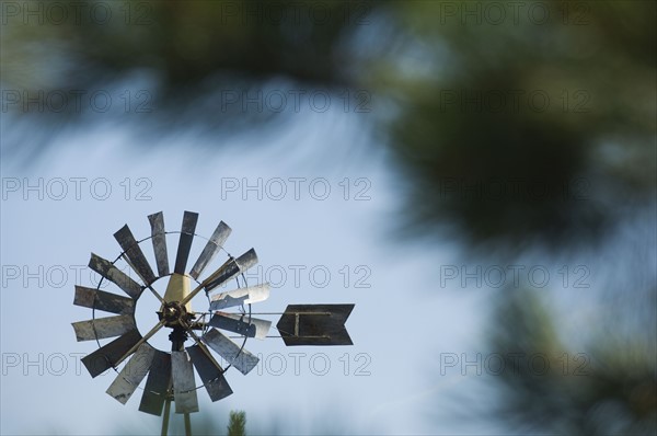 Close up of small windmill. Date : 2007