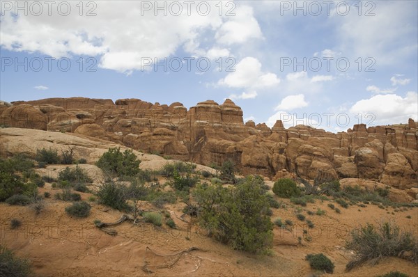 Desert landscape under blue sky. Date : 2007