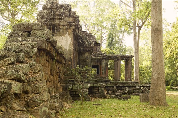 Ancient Temple Angkor Cambodia Khmer Ta Prohm. Date : 2006