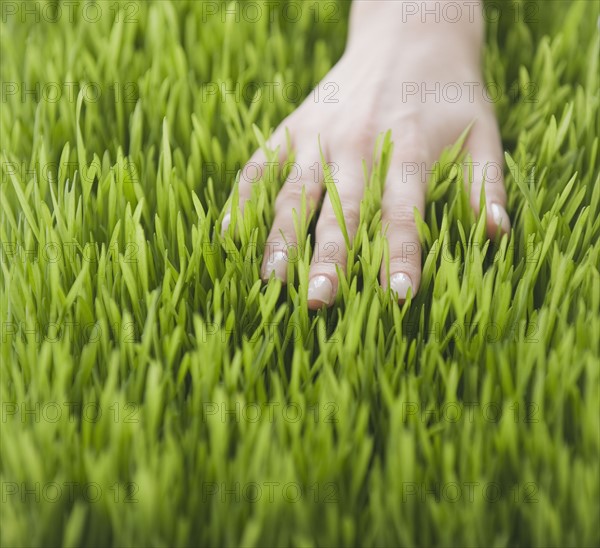 Woman’s hand in grass.