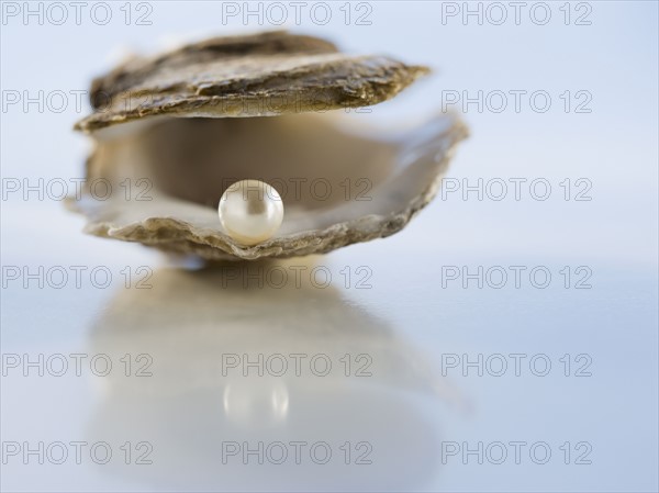 Close up of pearl in oyster shell.