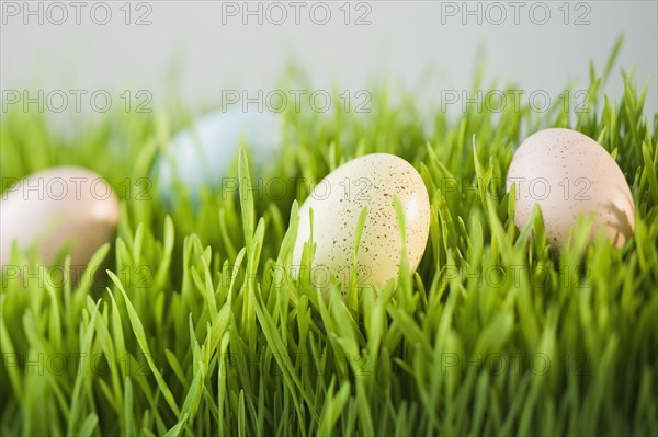 Decorated eggs in grass.