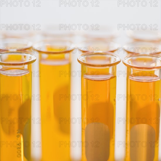 Close up of liquid in vials.