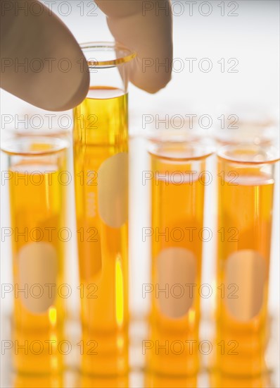 Close up of liquid in vials.