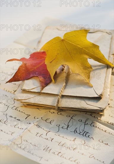 Autumn leaves on bundle of letters.