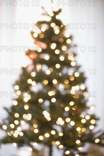 Defocused shot of Christmas tree.
