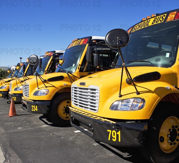 school buses in a row. Date : 2008