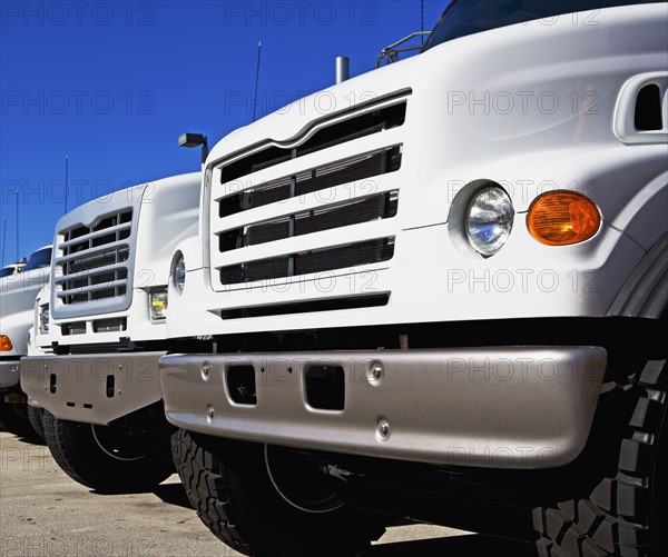 trucks in a row. Date : 2008